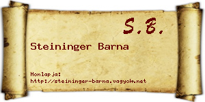 Steininger Barna névjegykártya